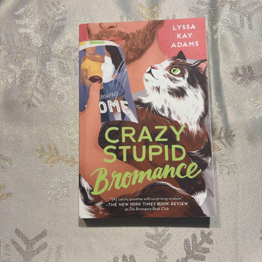Crazy Stupid Bromance