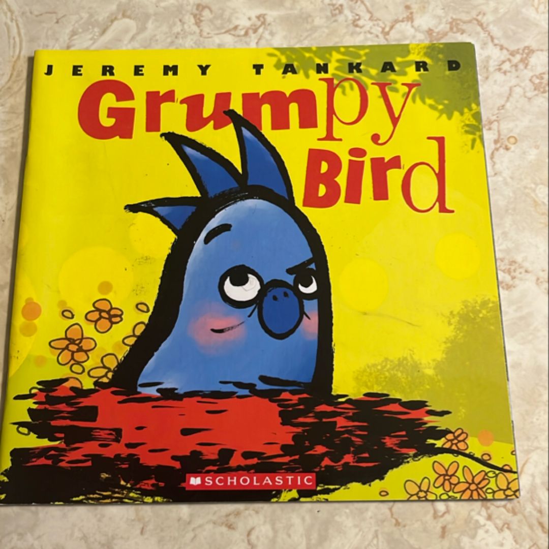 Grumpy Bird