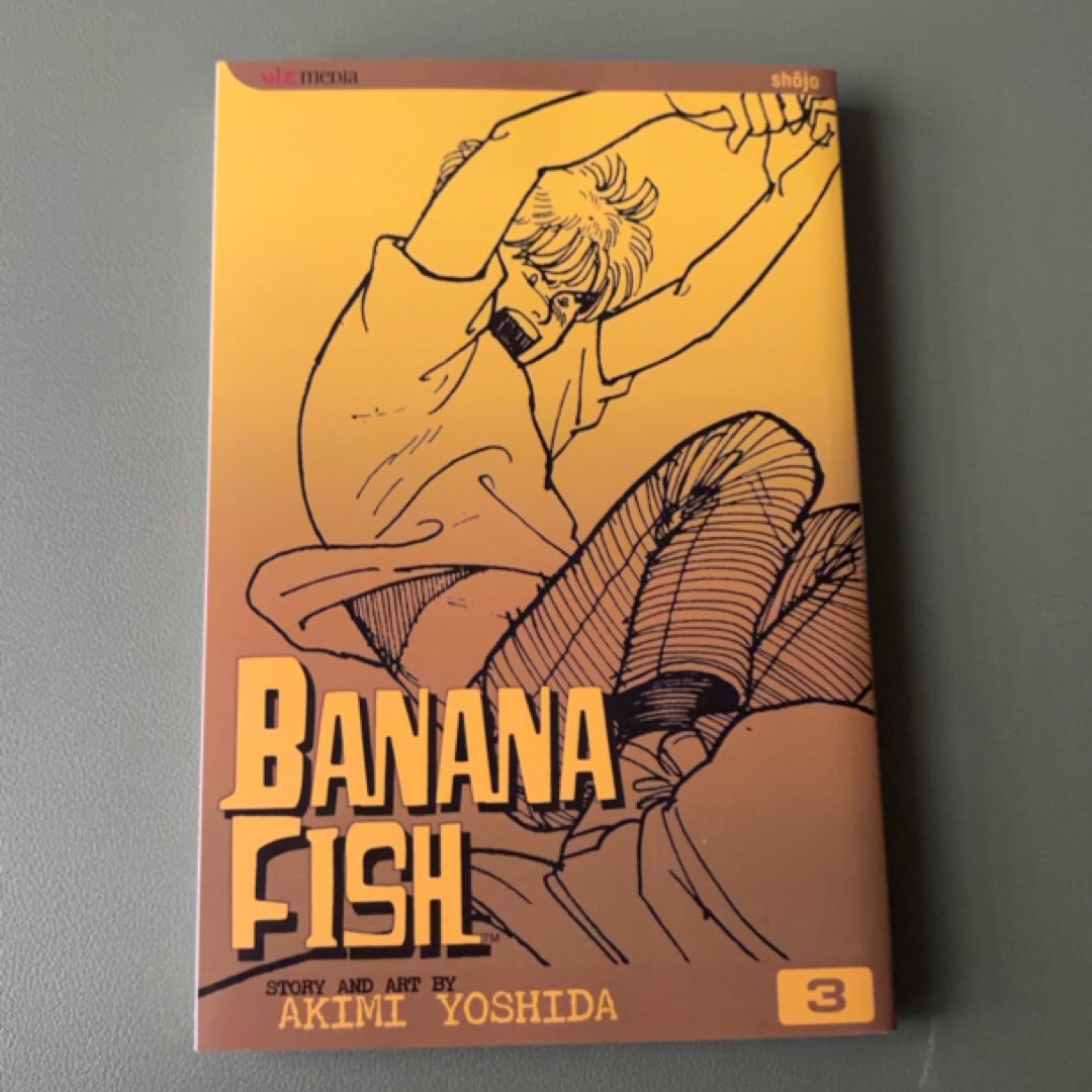 Banana Fish, Vol. 3