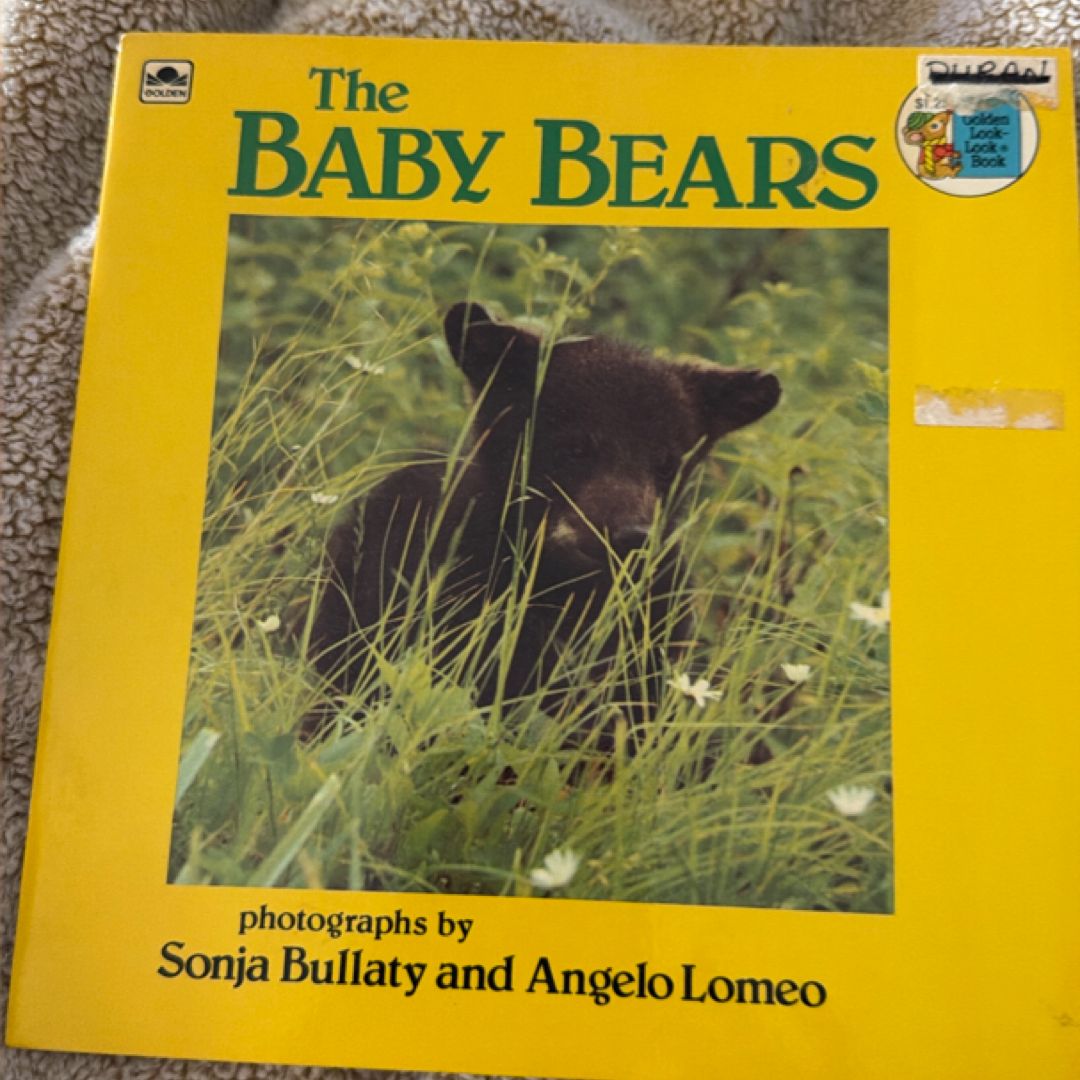 The Baby Bears 