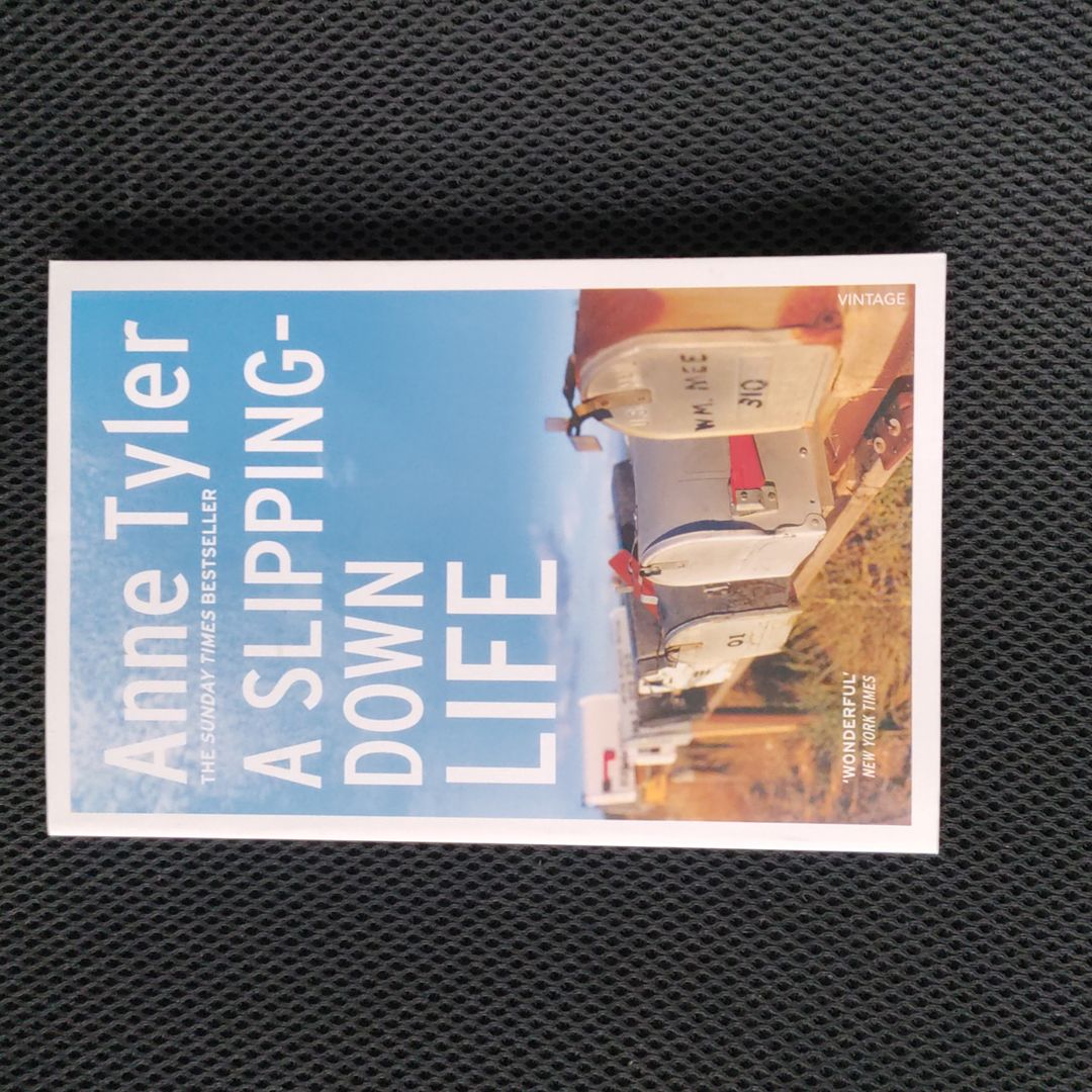 A Slipping down Life