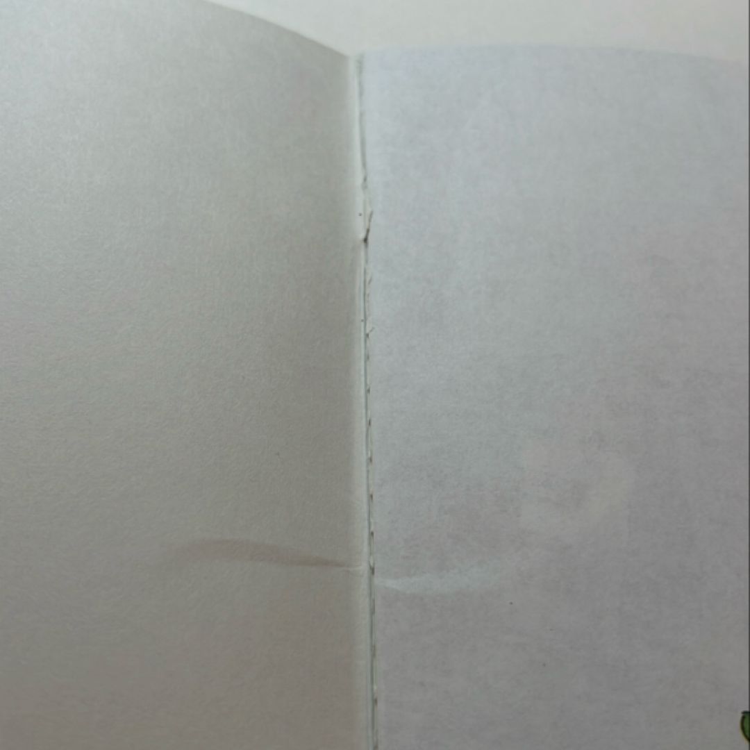 The Berenstain Bears Blaze a Trail