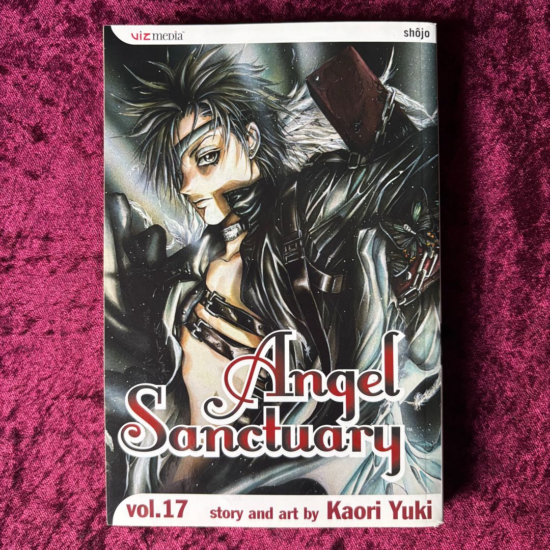 Angel Sanctuary, Vol. 17