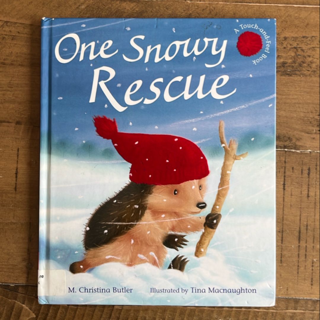 One Snowy Rescue