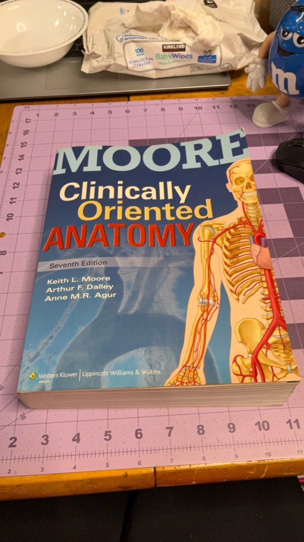 Clinically Oriented Anatomy
