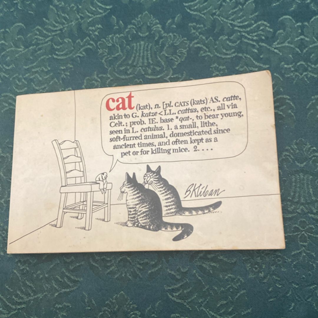 Cat