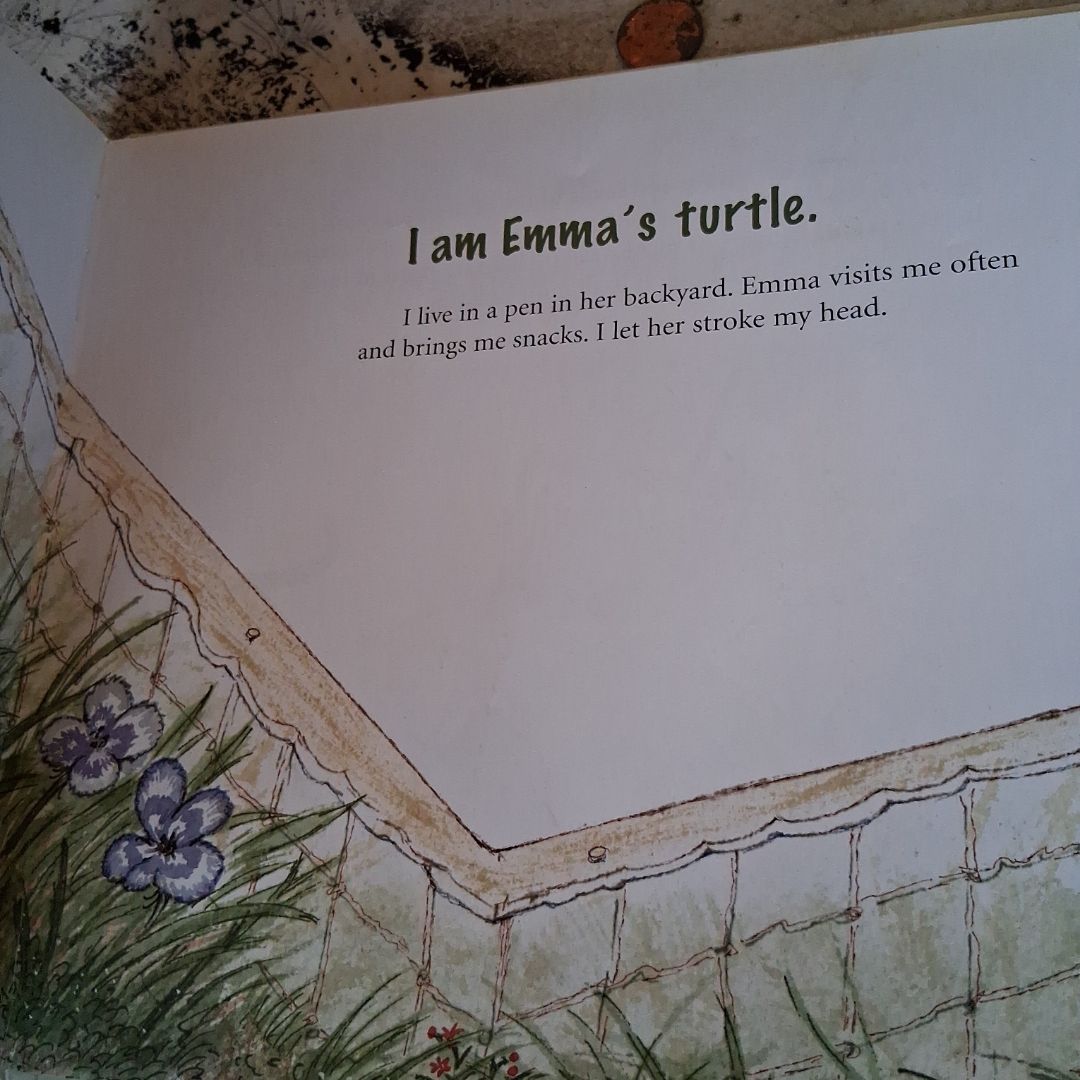 Emma's Turtle