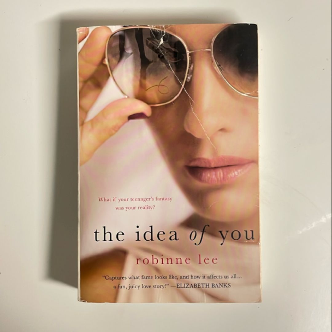 The Idea of You