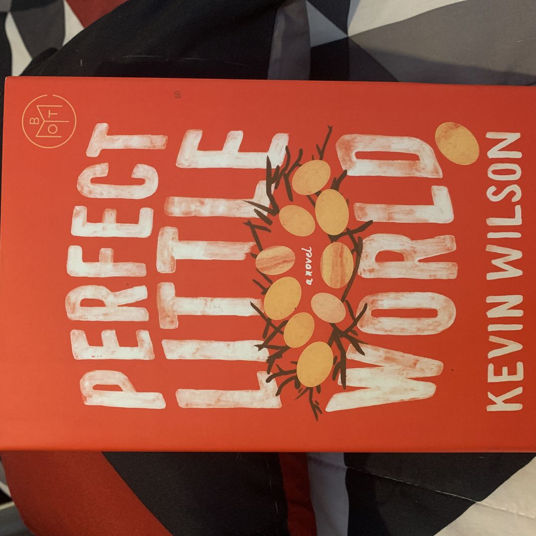 Perfect Little World