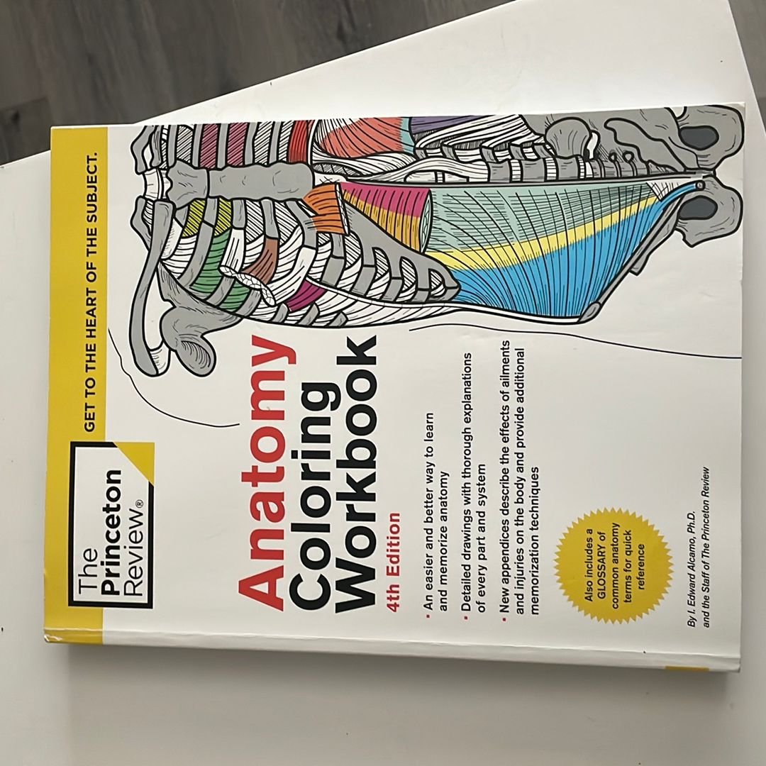 Anatomy