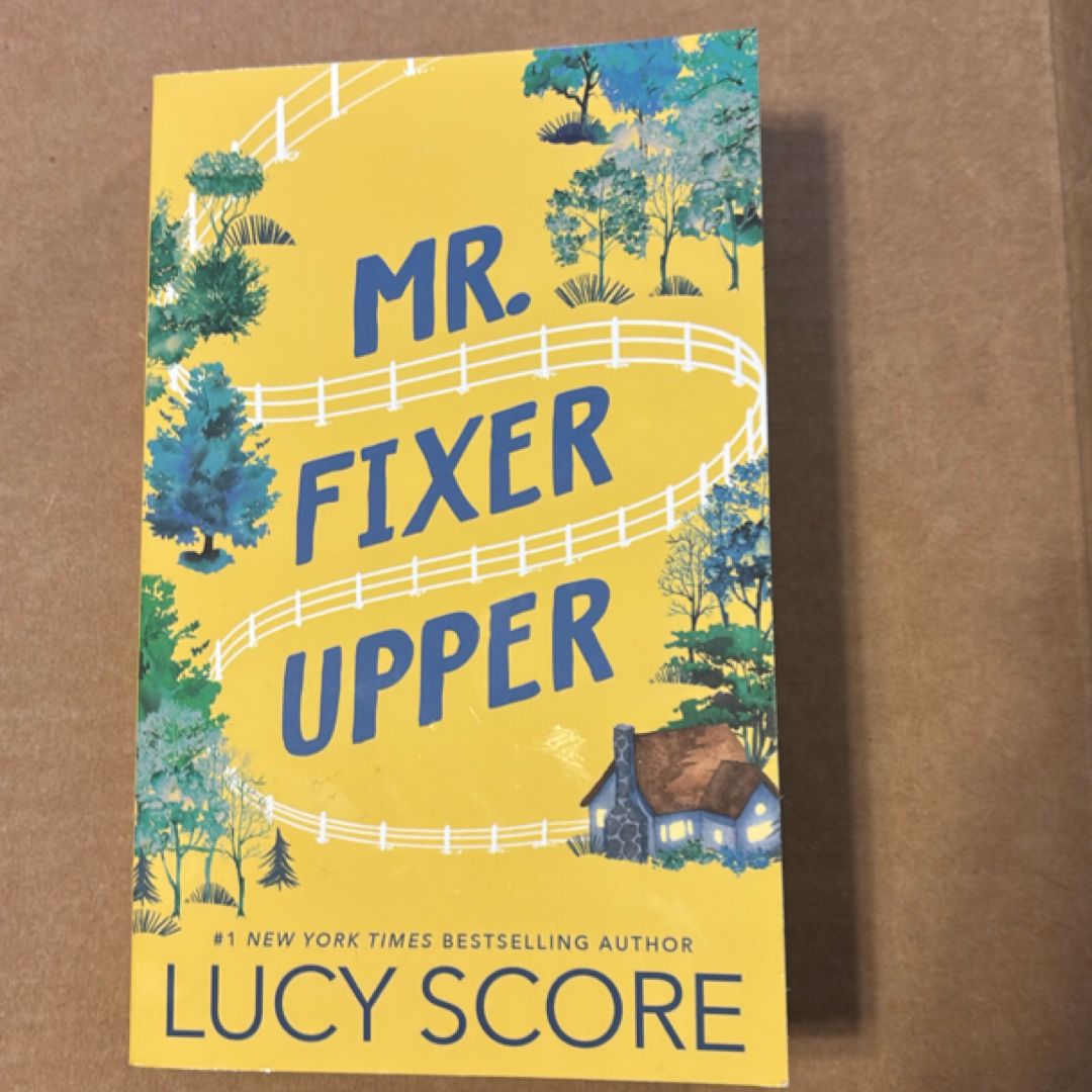 Mr. Fixer Upper