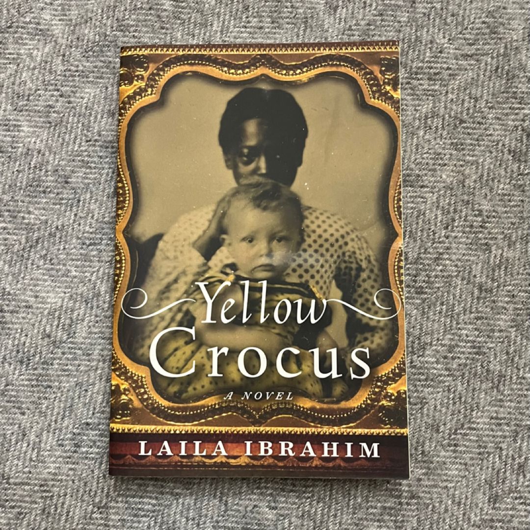 Yellow Crocus