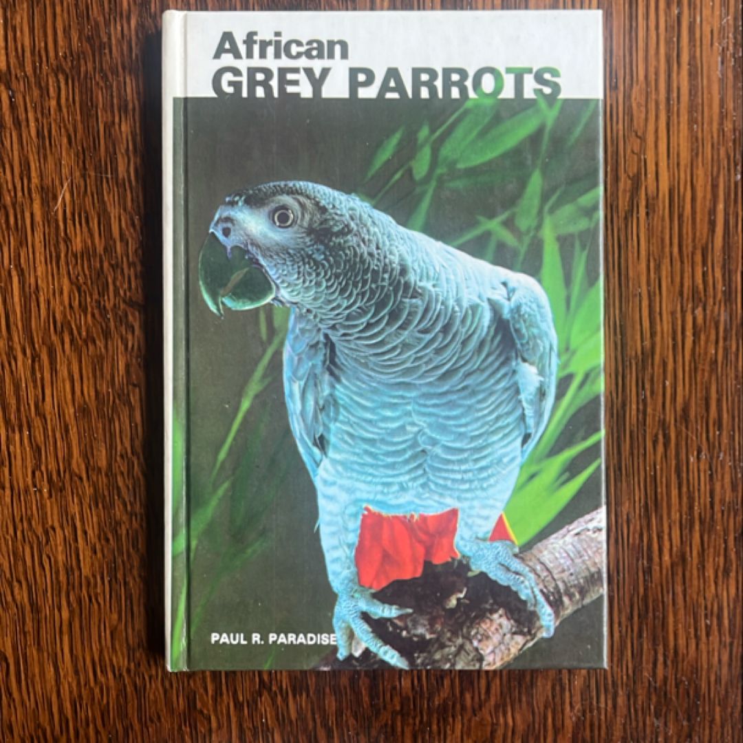 African Grey Parrots