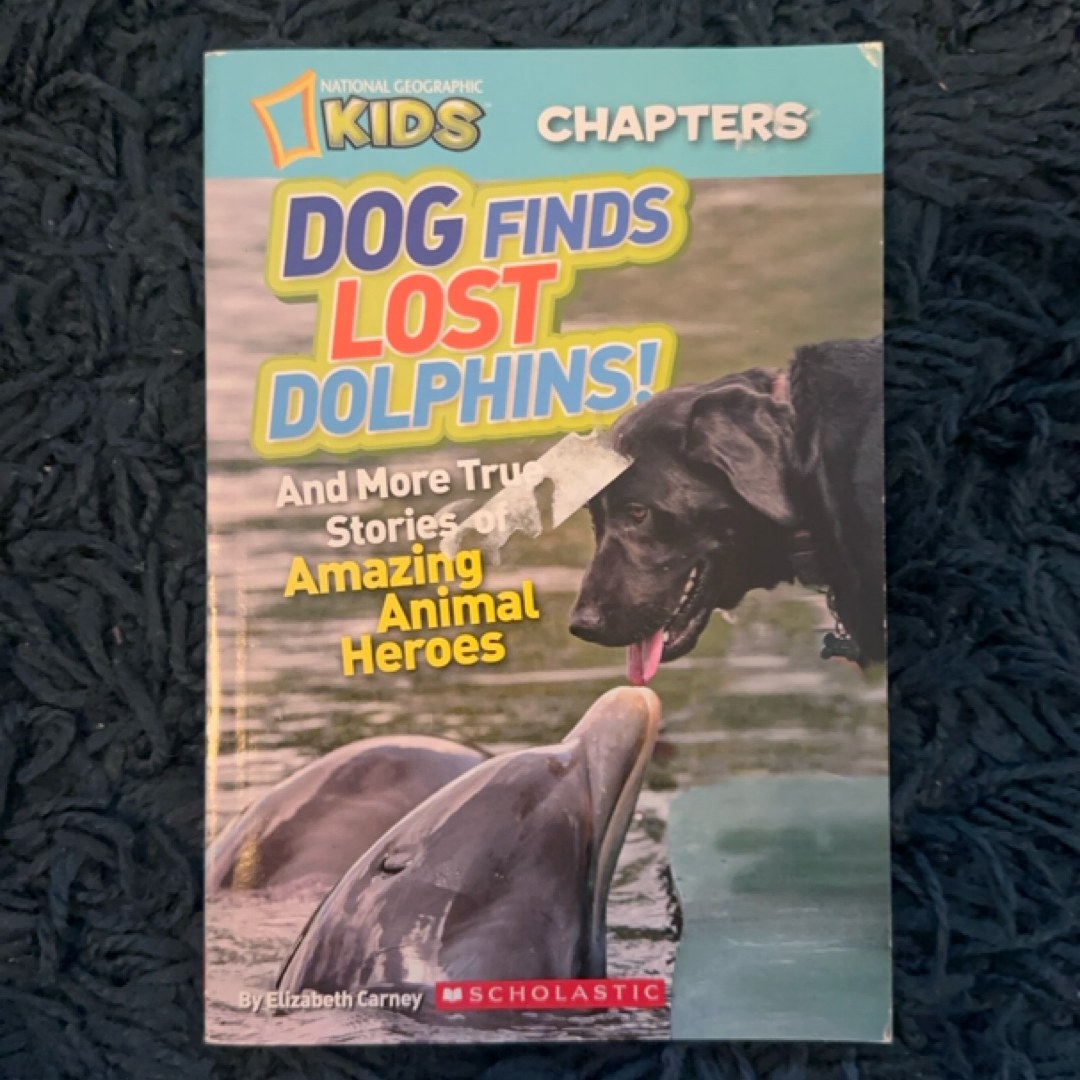 Dog Finds Lost Dolphins