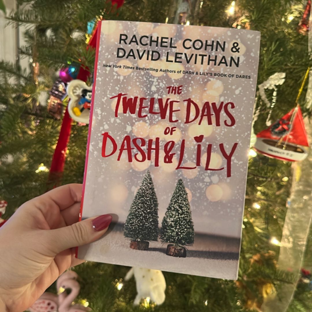 The Twelve Days of Dash and Lily