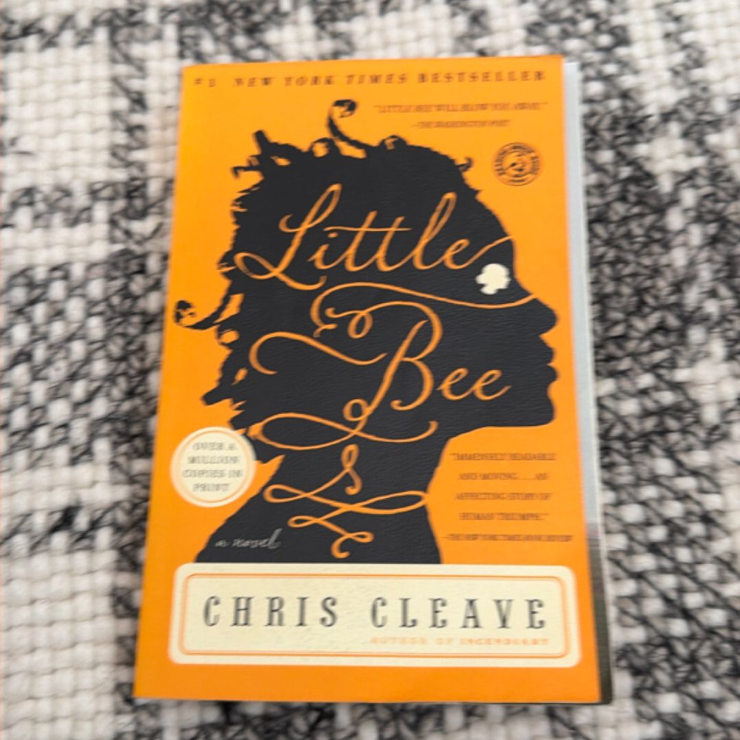 Little Bee