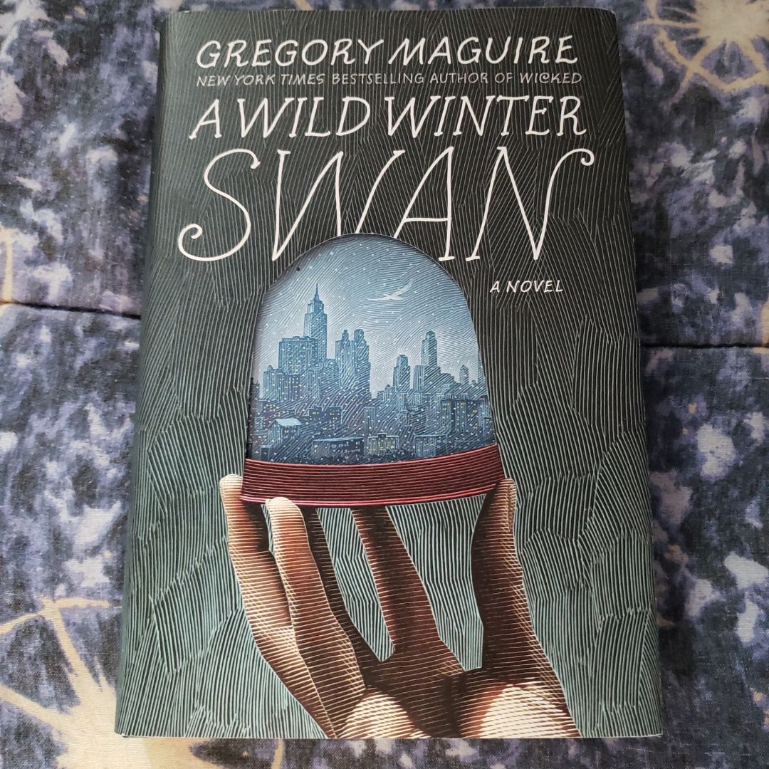 A Wild Winter Swan
