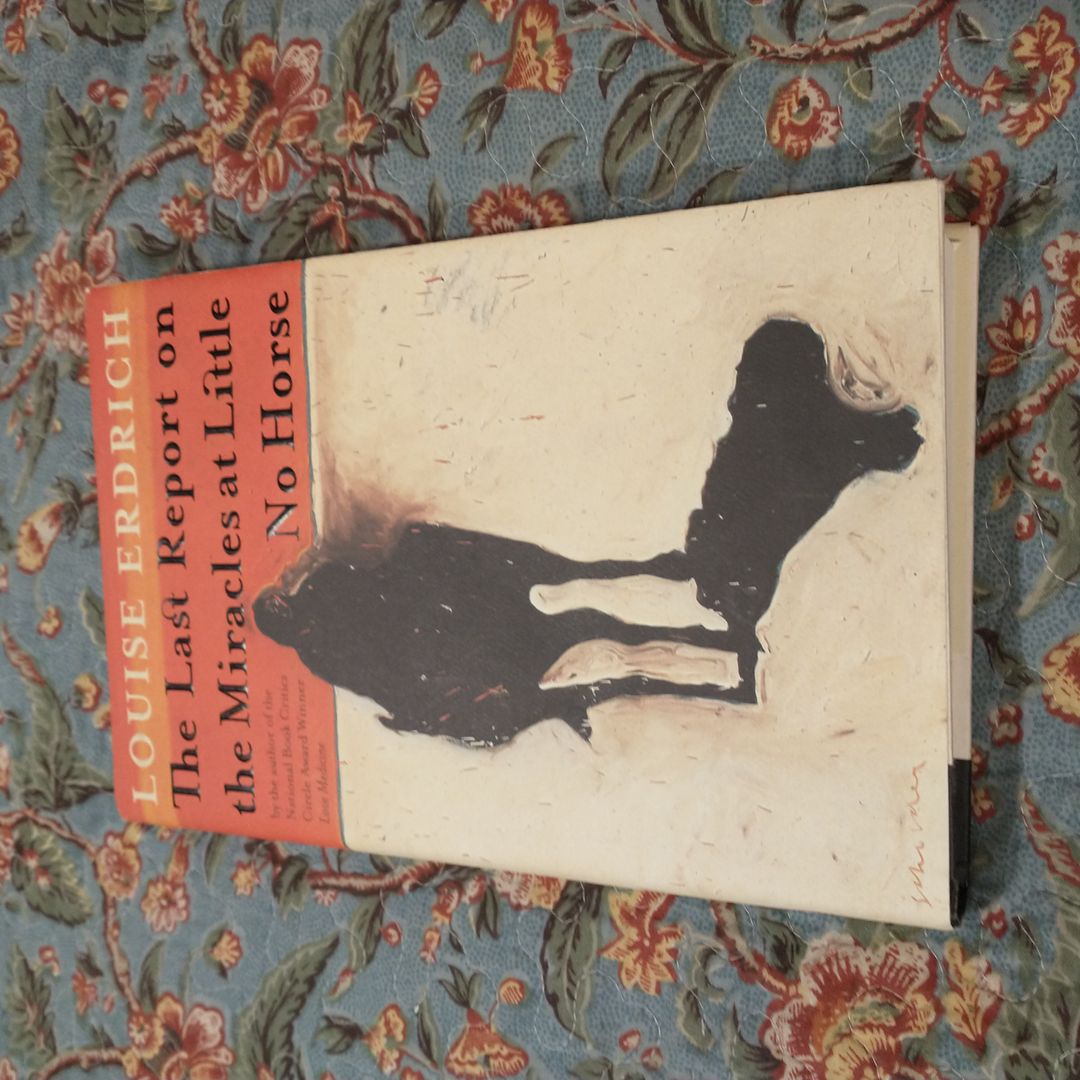 The Last Report on the Miracles at Little No Horse