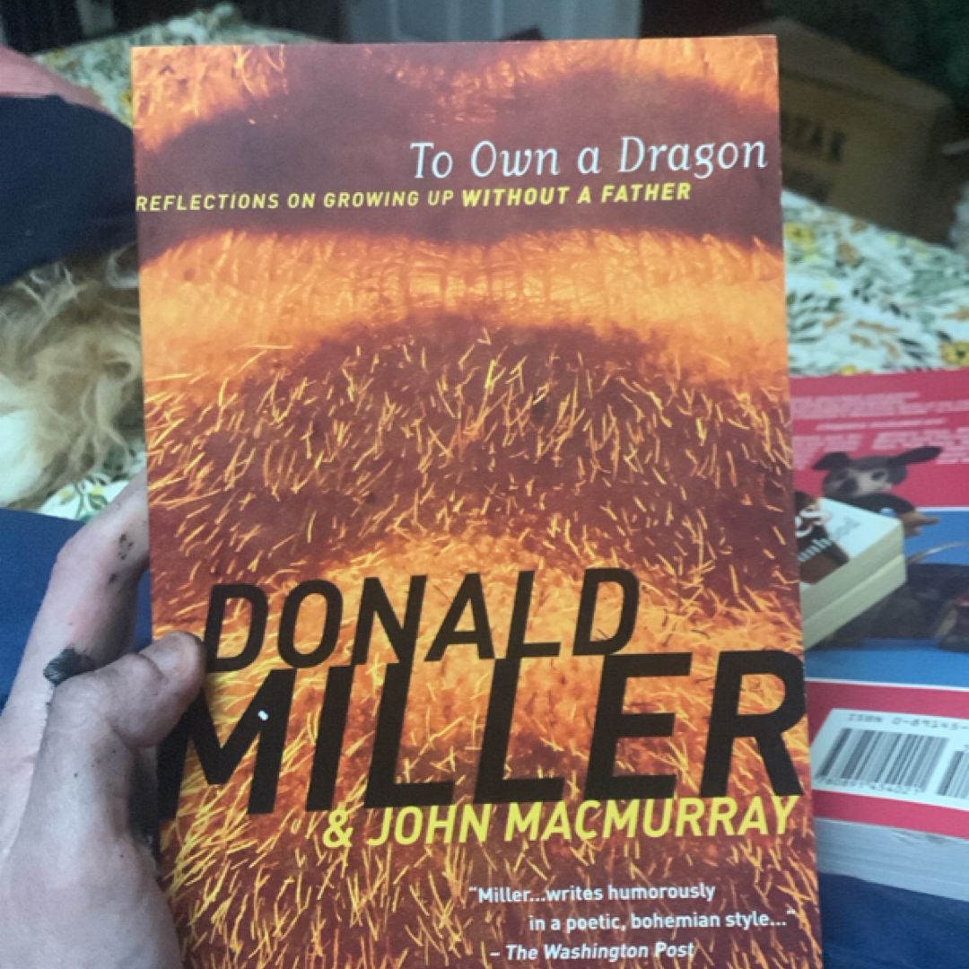To Own a Dragon
