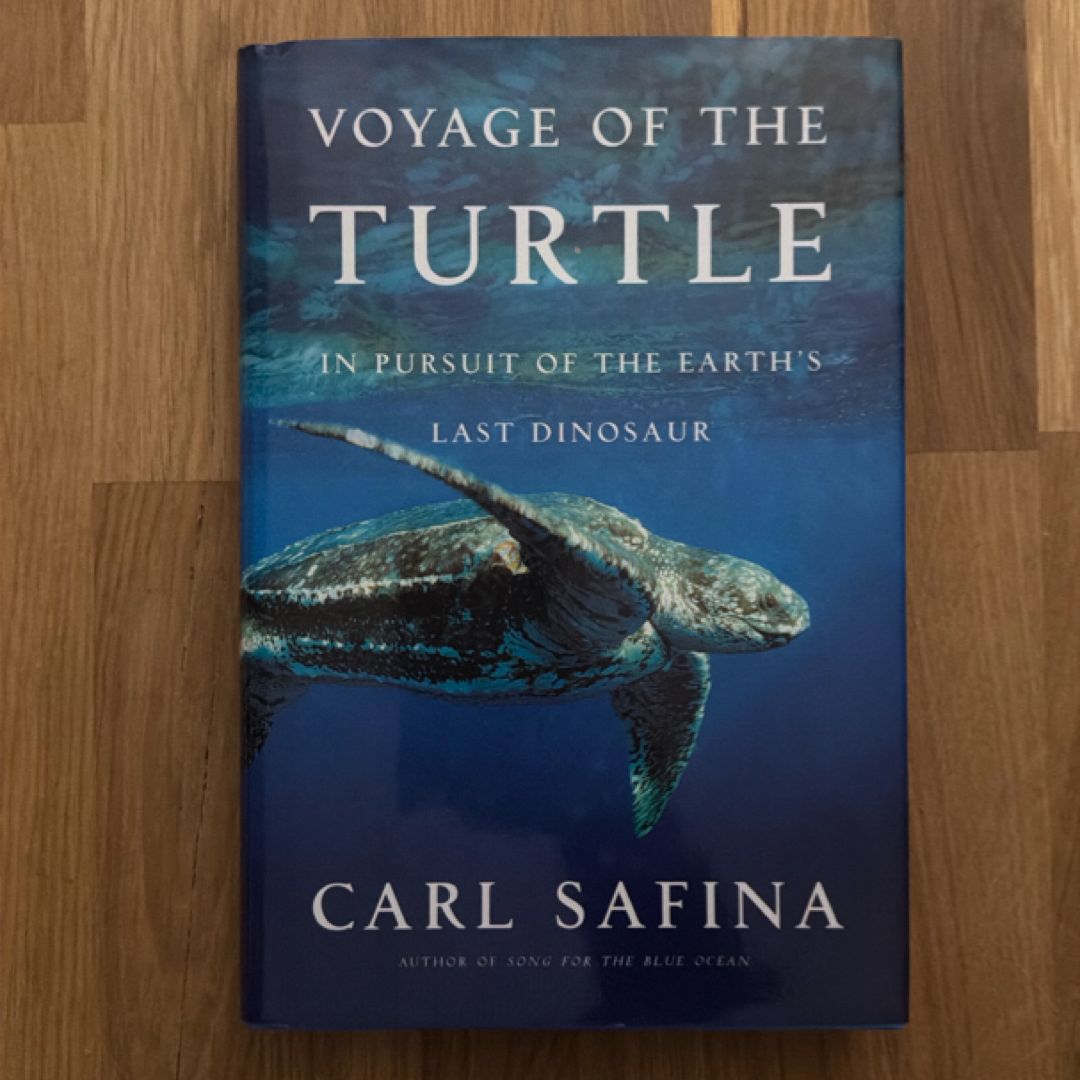Voyage of the Turtle