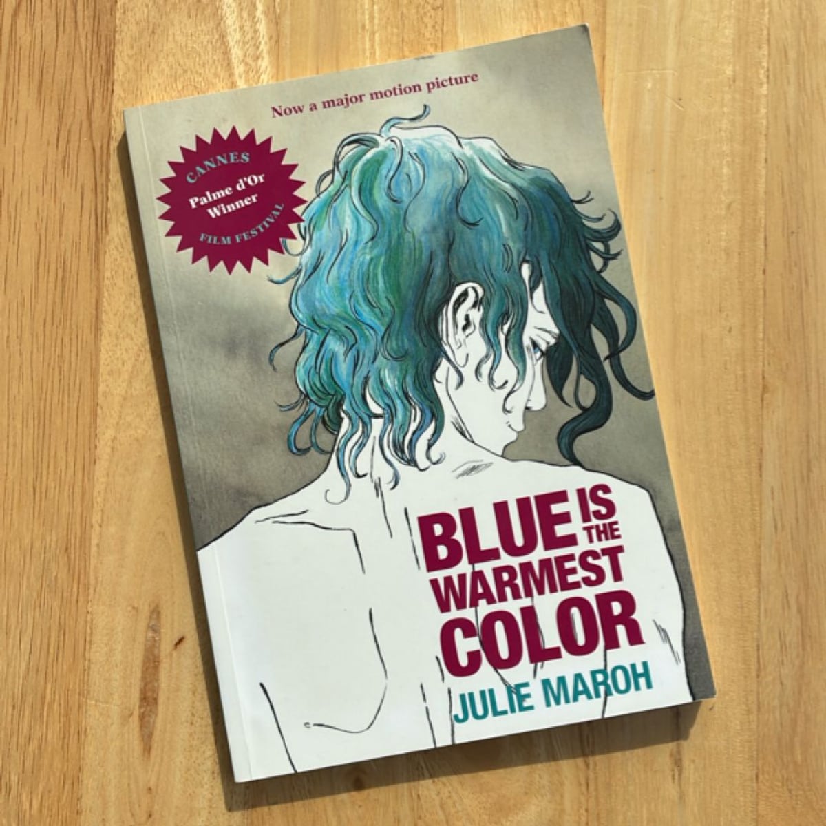blue-is-the-warmest-color-by-jul-maroh