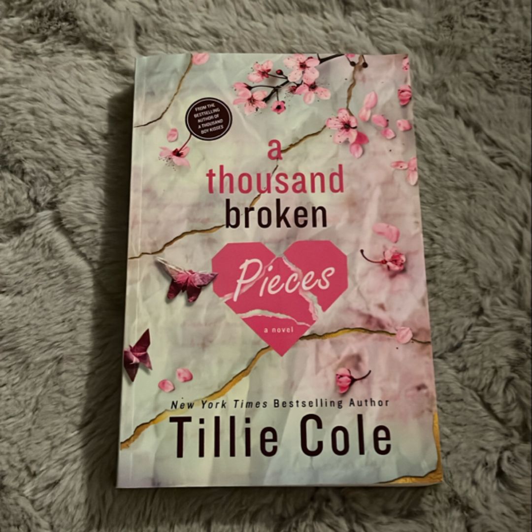 A Thousand Broken Pieces