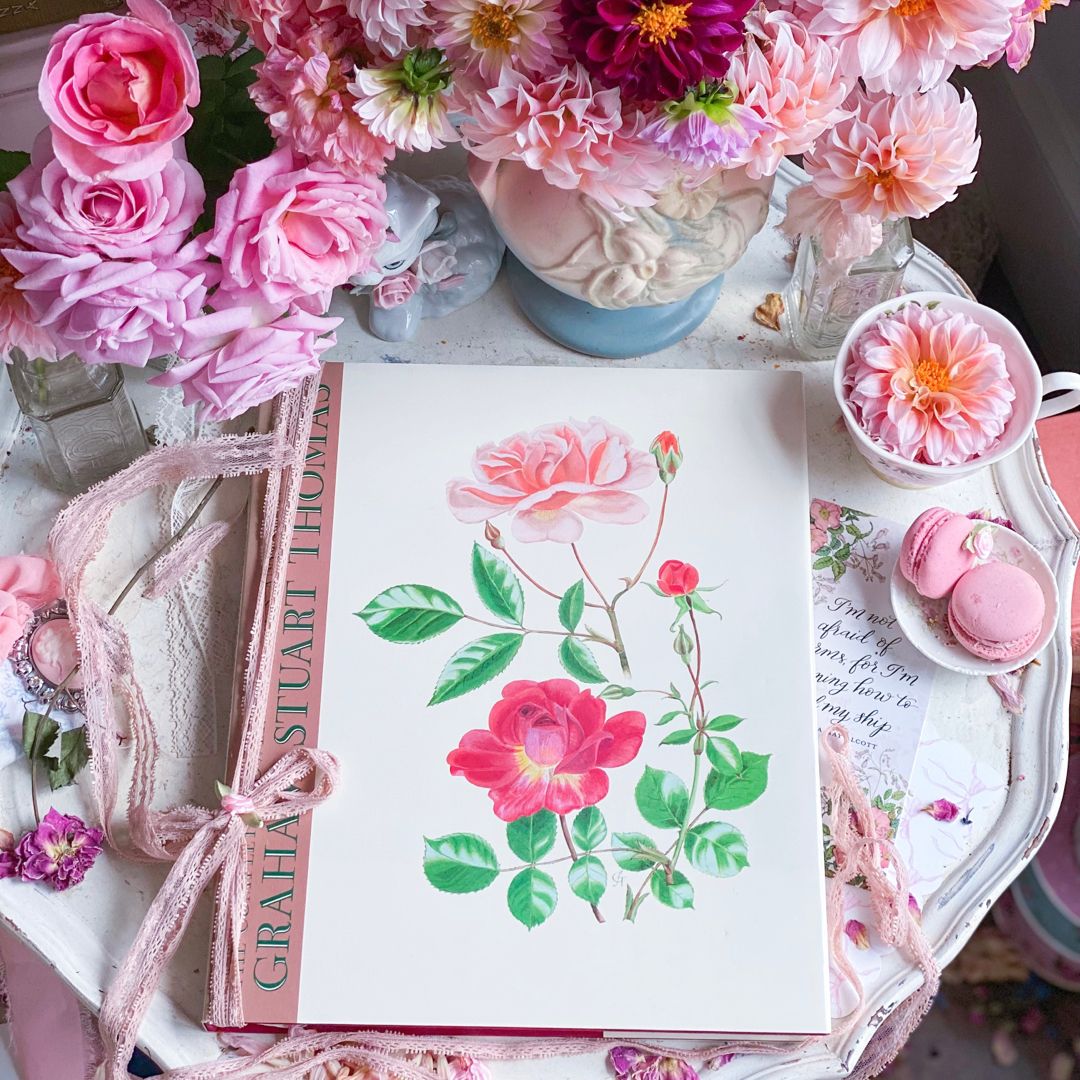 Complete Flower Paintings and Drawings of Graham Stuart Thomas