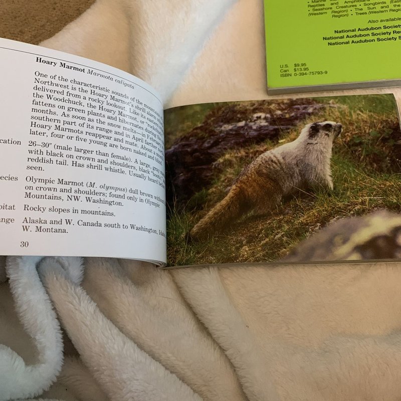 National Audubon Society Pocket Guide to Familiar Mammals