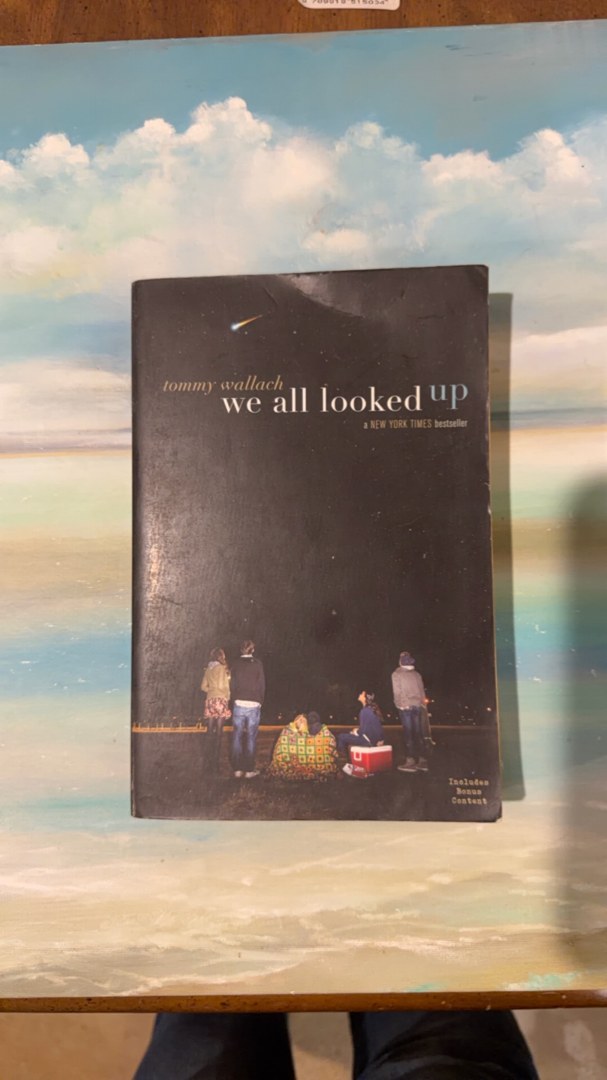 We All Looked Up