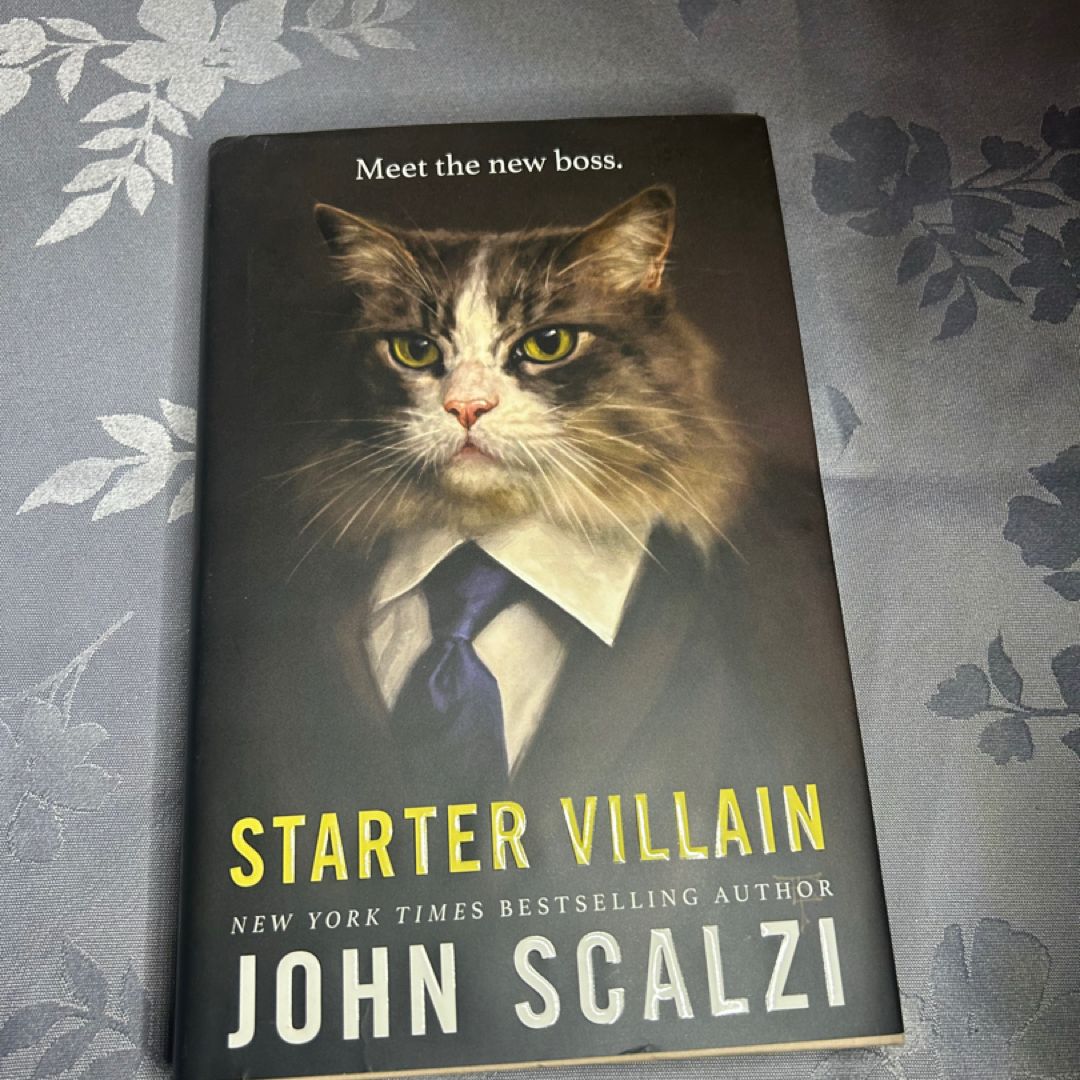 Starter Villain
