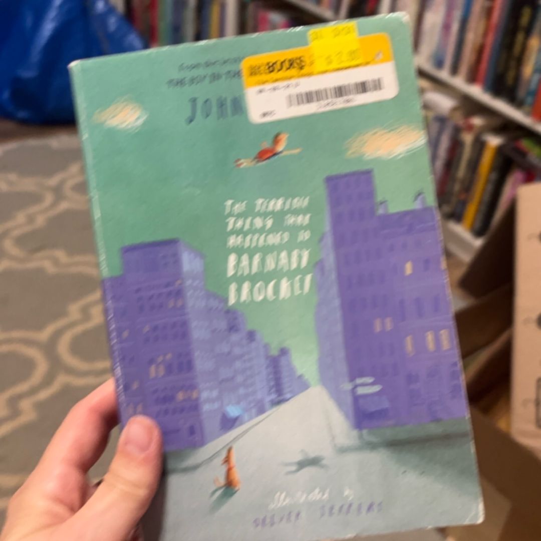 The Terrible Thing That Happened to Barnaby Brocket