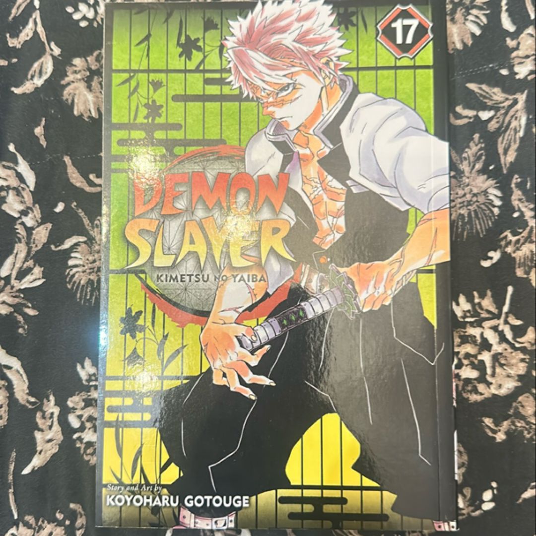 Demon Slayer: Kimetsu No Yaiba, Vol. 17