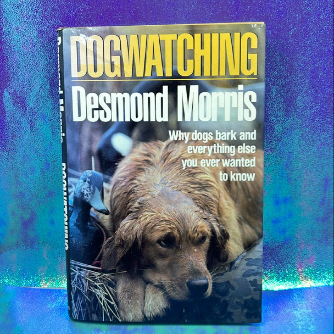 Dog watching