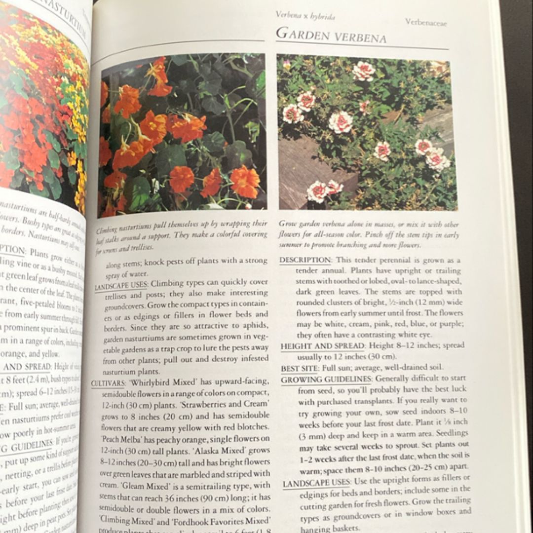 Rodale's Annuals and Bulbs