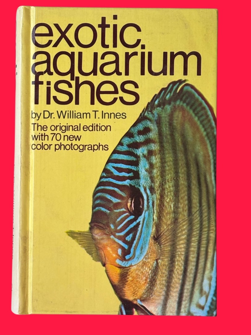 Innes Exotic Aquarium Fish