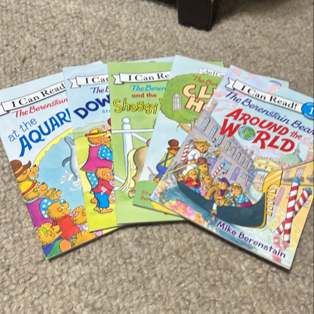 The Berenstain Bears lot of 5