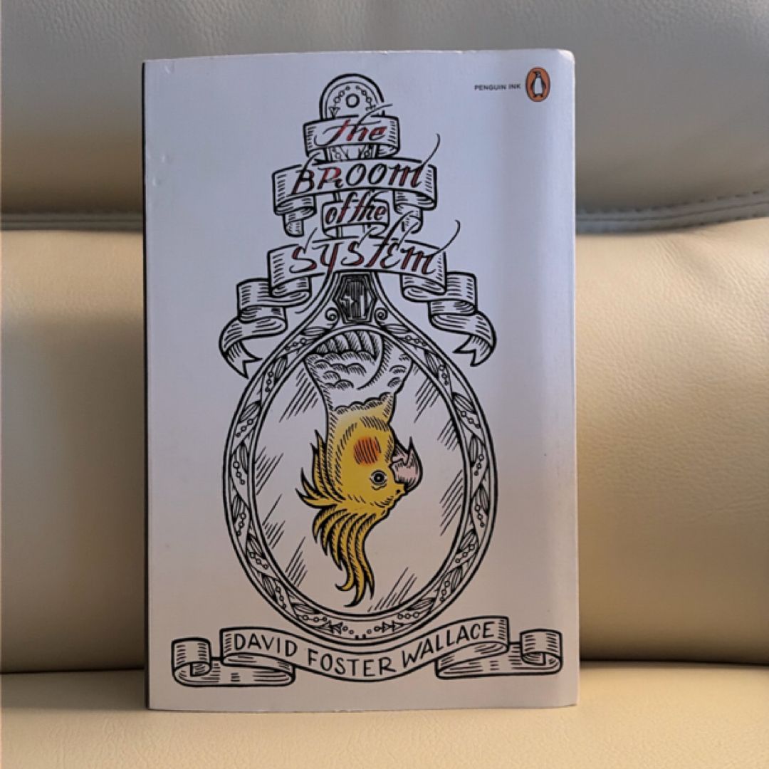 The Broom of the System