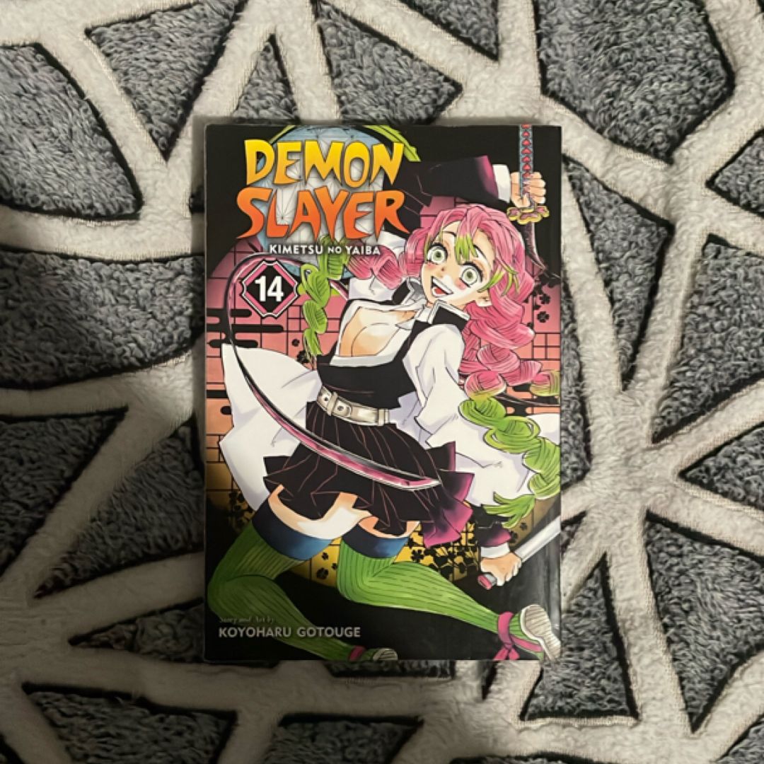 Demon Slayer: Kimetsu No Yaiba, Vol. 14