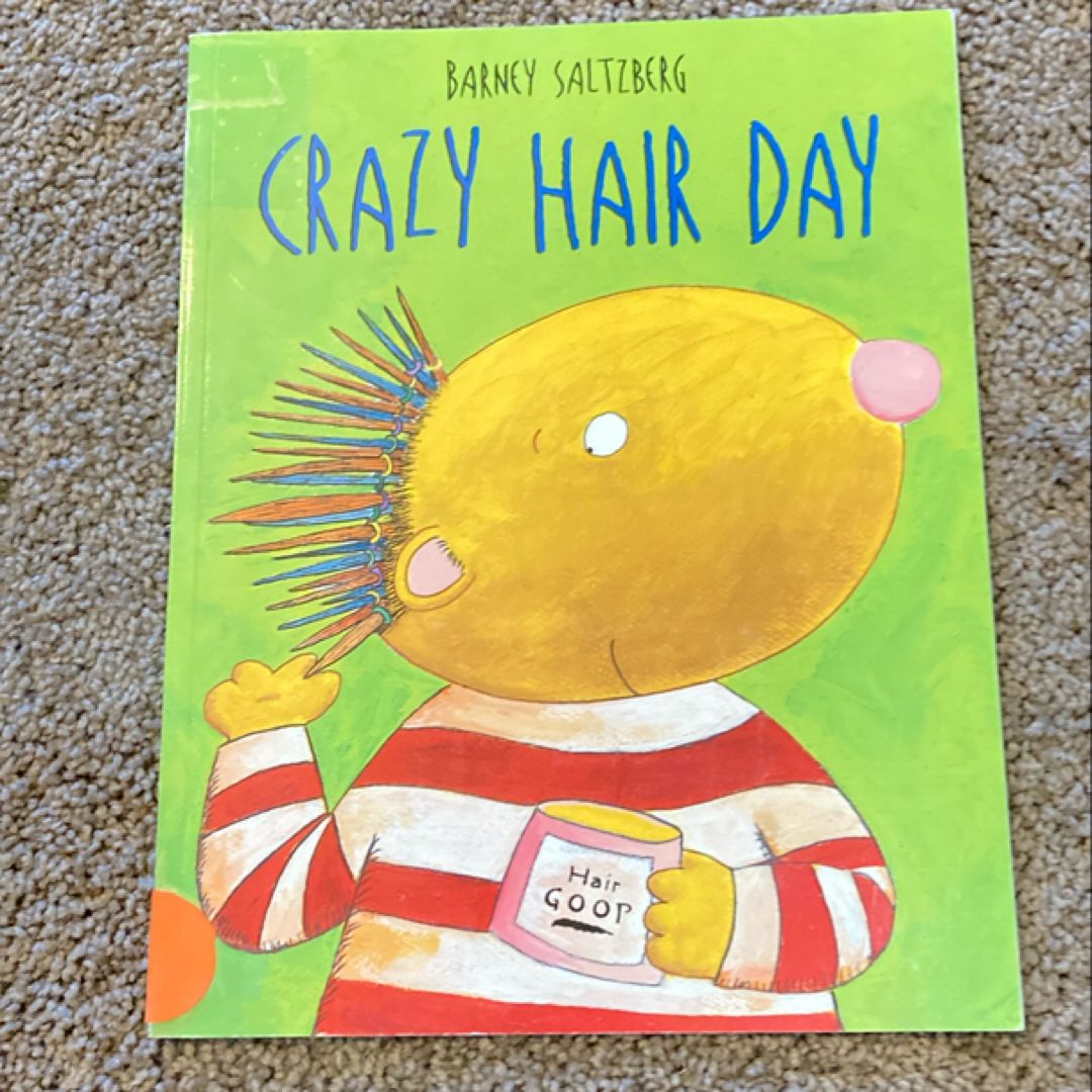 Crazy Hair Day