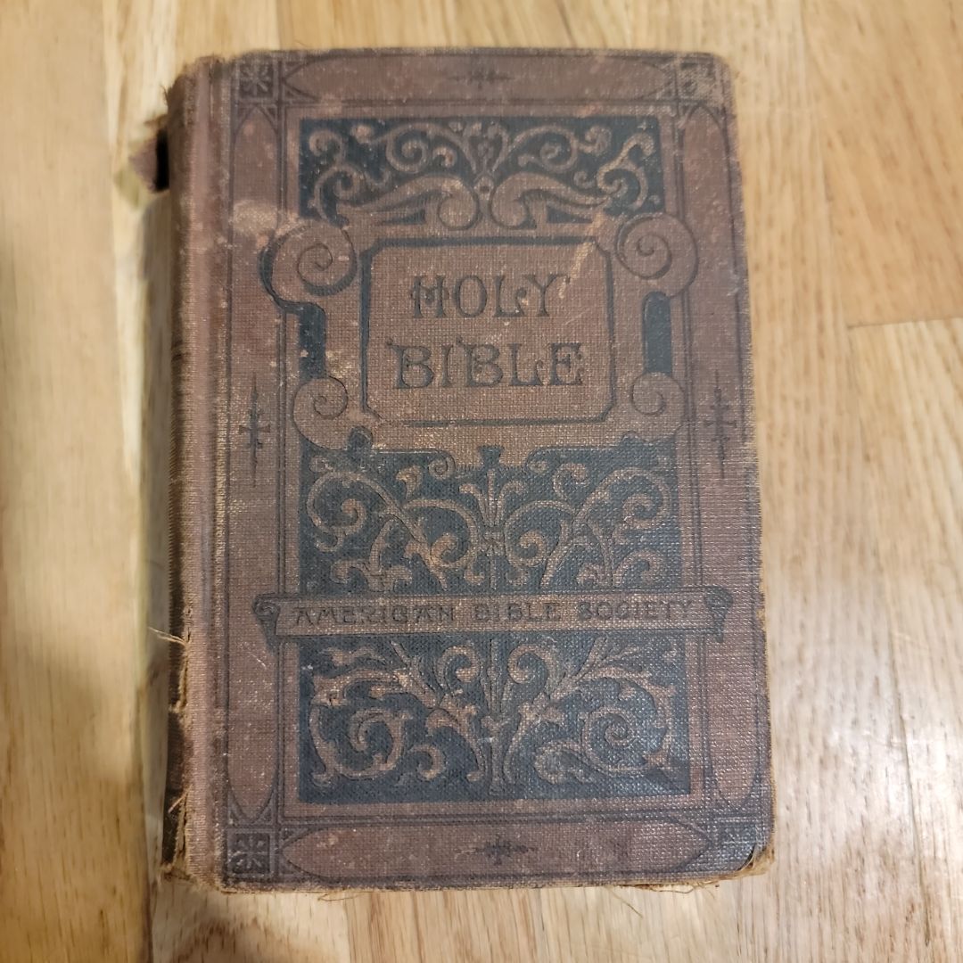 Holy Bible 1894