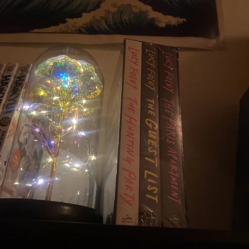 Lucy Foley Boxed Set