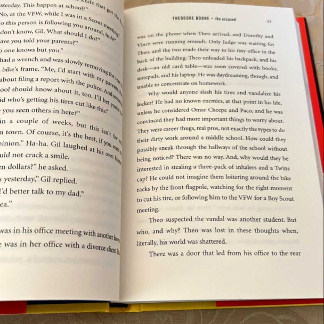 Theodore Boone: the Accused