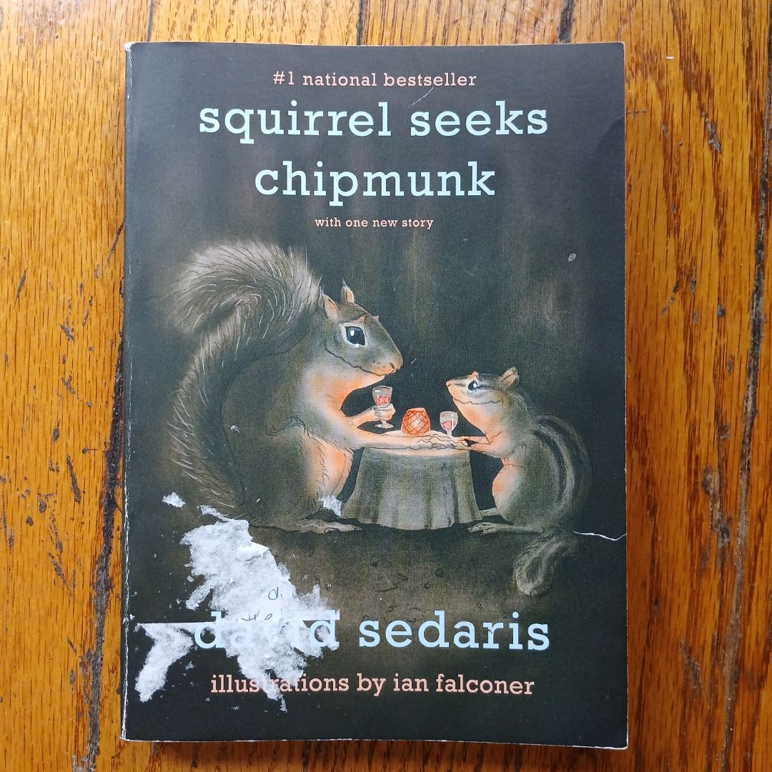 Squirrel Seeks Chipmunk