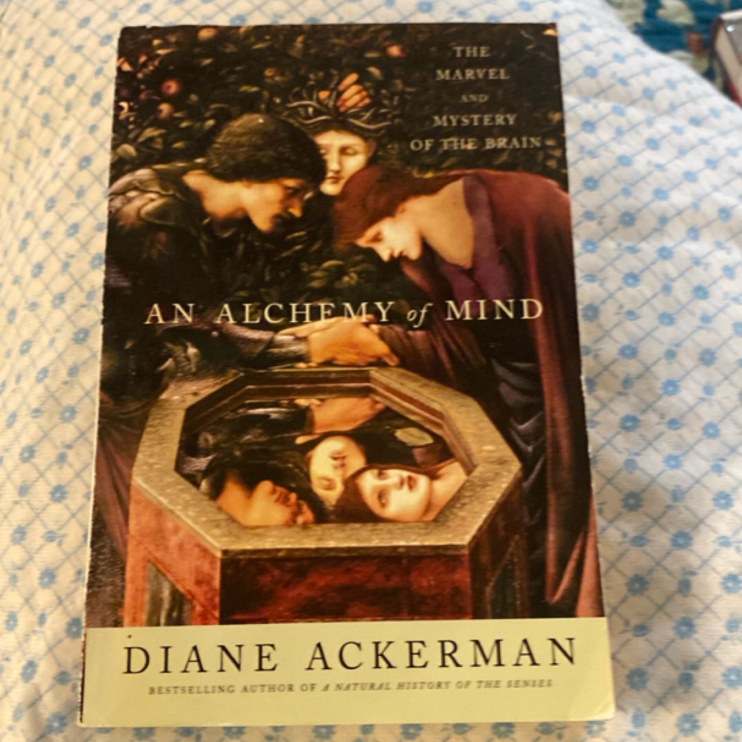 An Alchemy Of Mind - The Marvel And Mystery Of The Brain