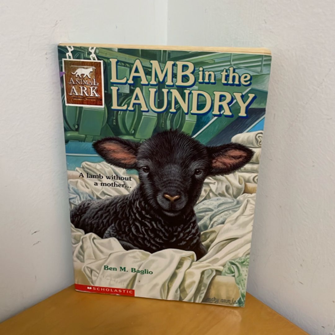 Lamb in the Laundry