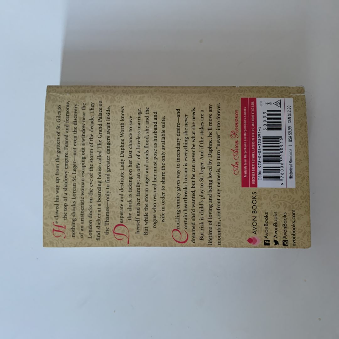 How to Tame a Wild Rogue