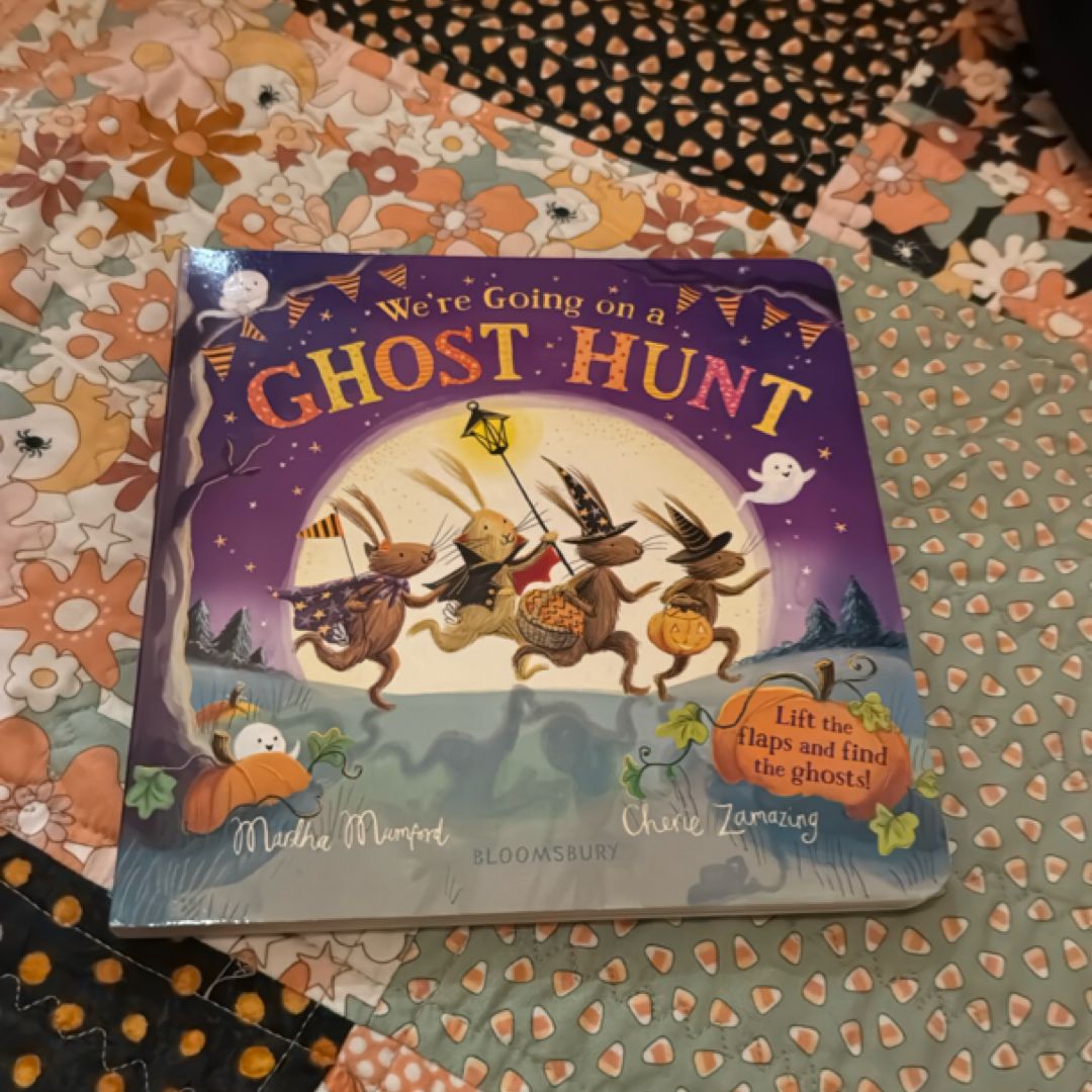 We're Going on a Ghost Hunt