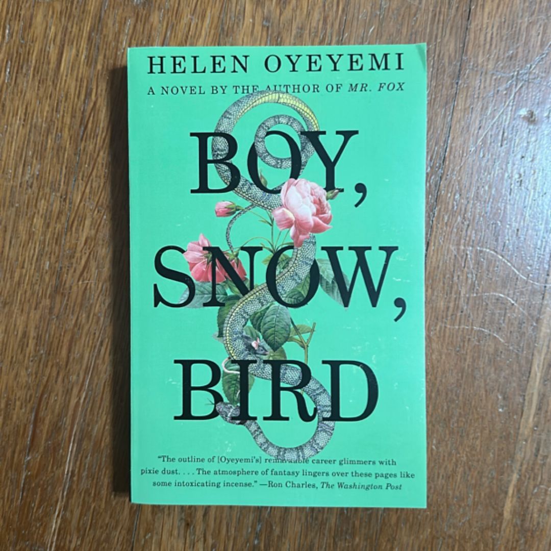 Boy, Snow, Bird