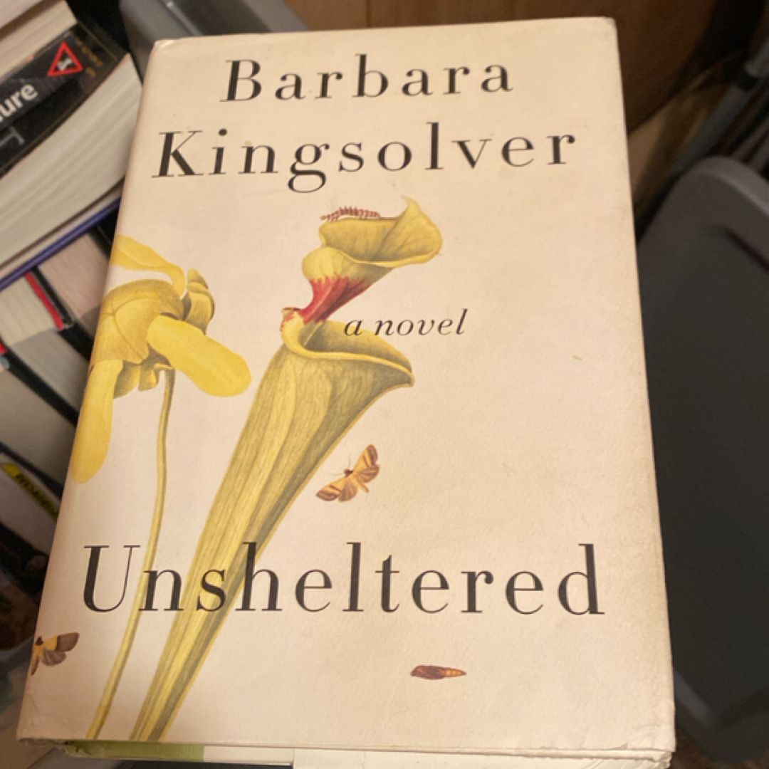 Unsheltered