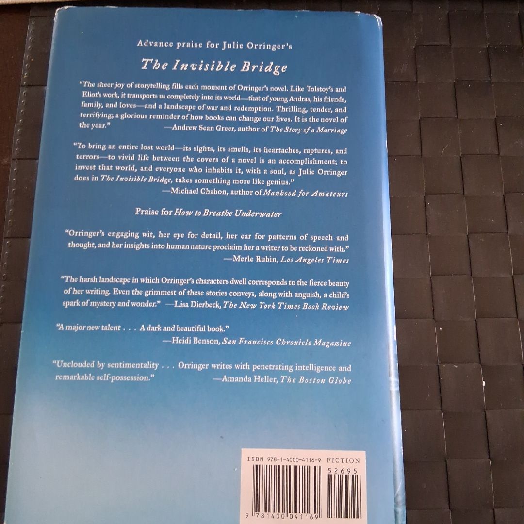 The Invisible Bridge